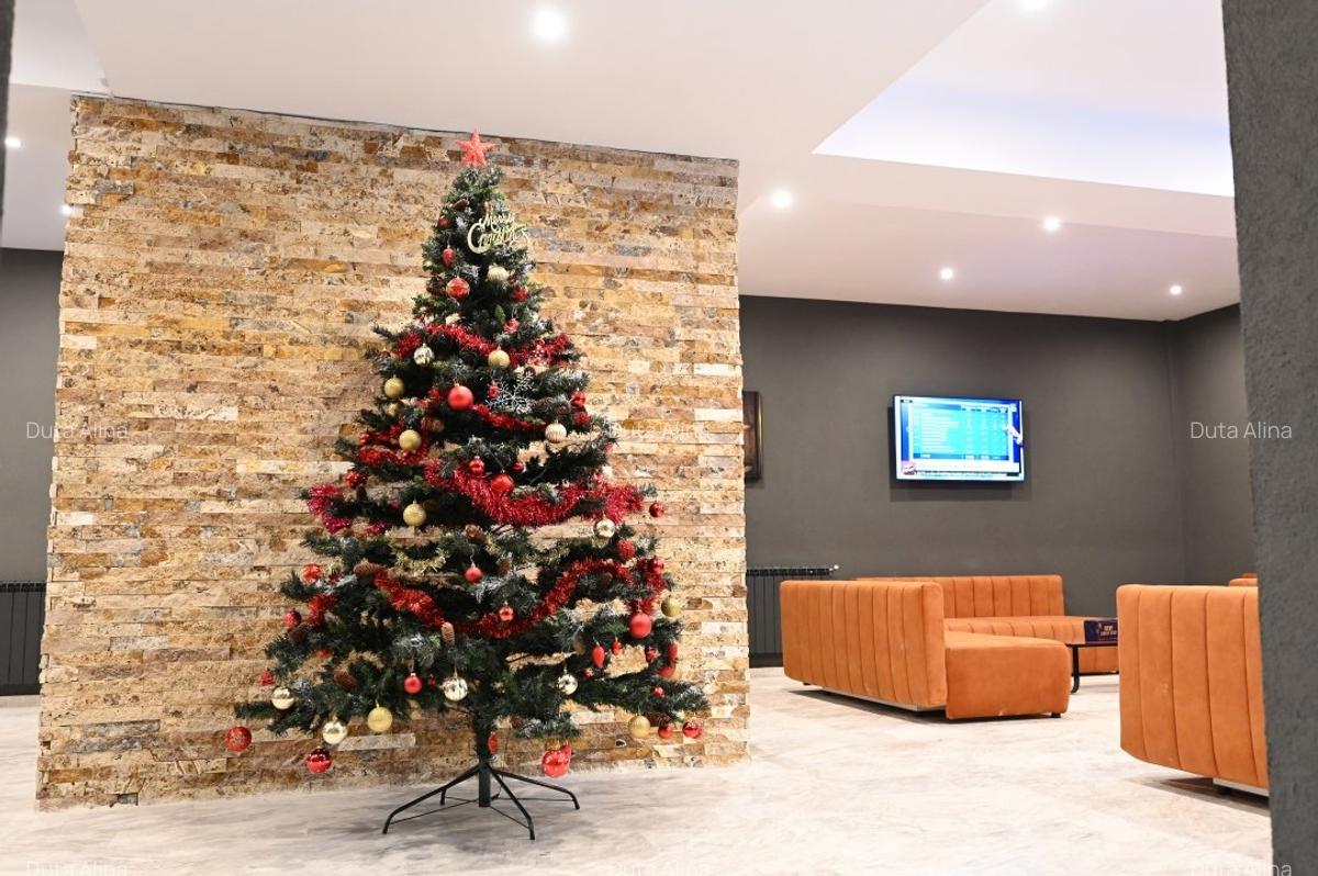 Suita de lux Predeal - 11