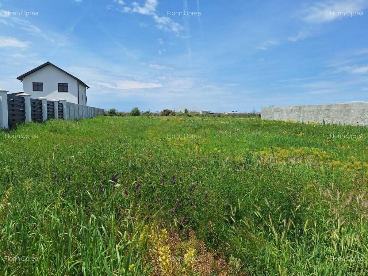 LOTURI TEREN INTRAVILAN-650 MP-DN 4 - 3