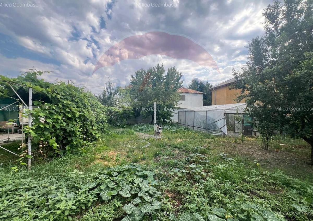 Casa -magazin Golesti - 9