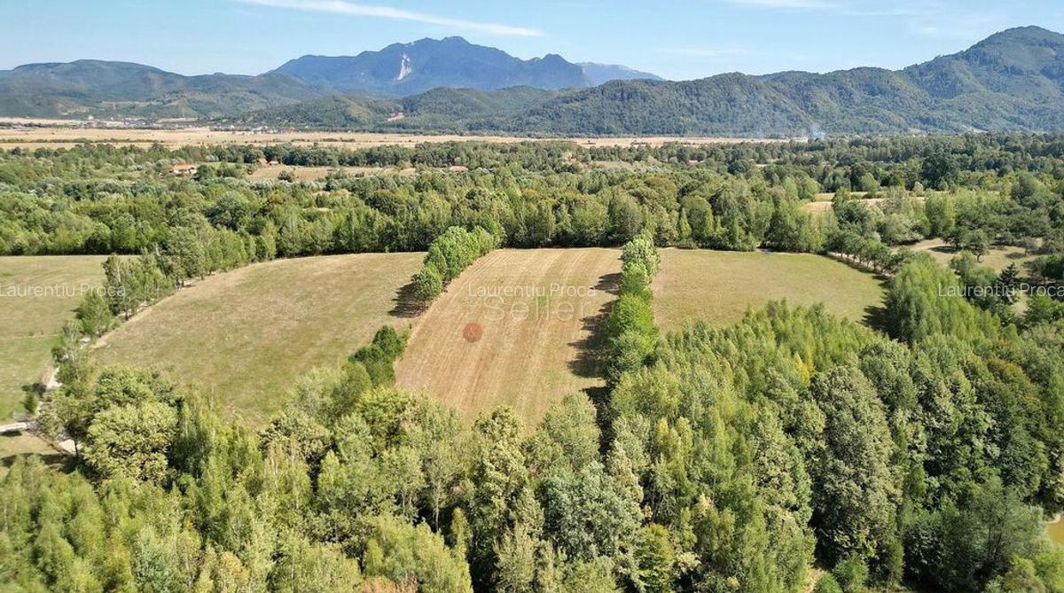 Teren intravilan, priveliste deosebita - 1