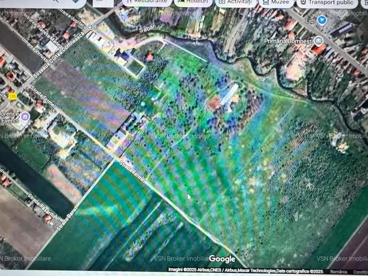 Teren de vanzare 12.700 mp Domnesti Curtea Domneasca - 3