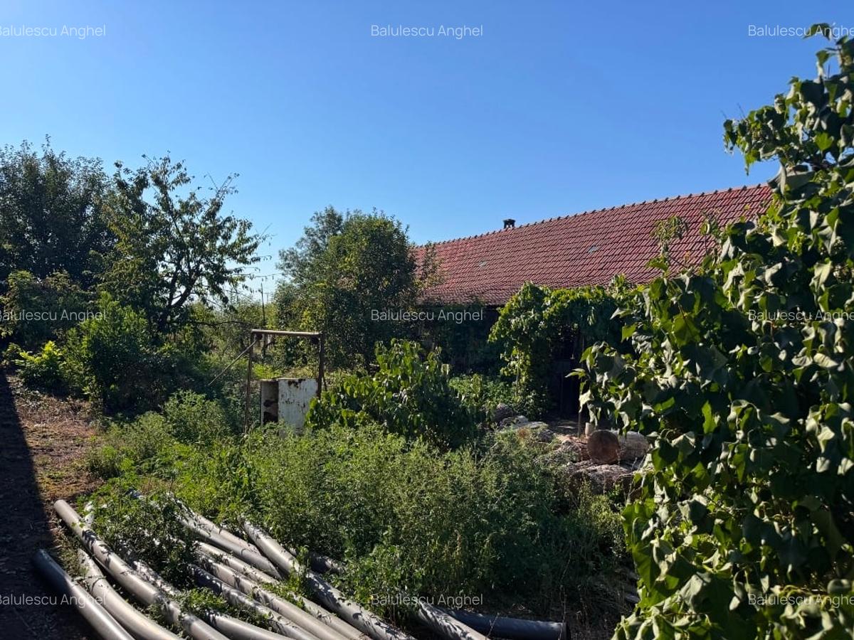 Vând casa in vatra veche sat  Bacova jud.Timiș - 5