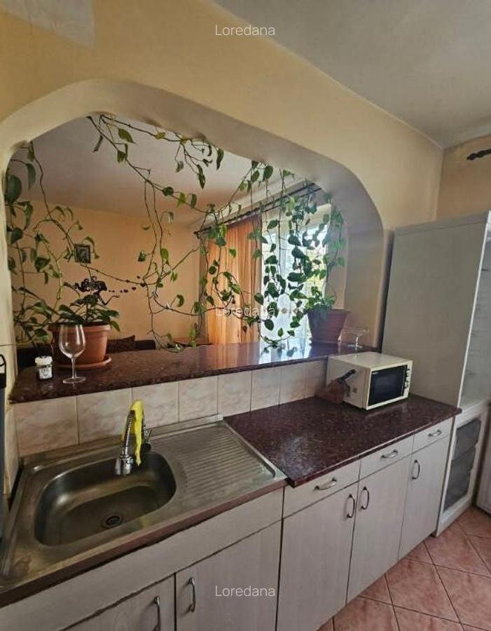 Ocazie!!! B-dul Dacia apartament-3 camere mobilat - 15