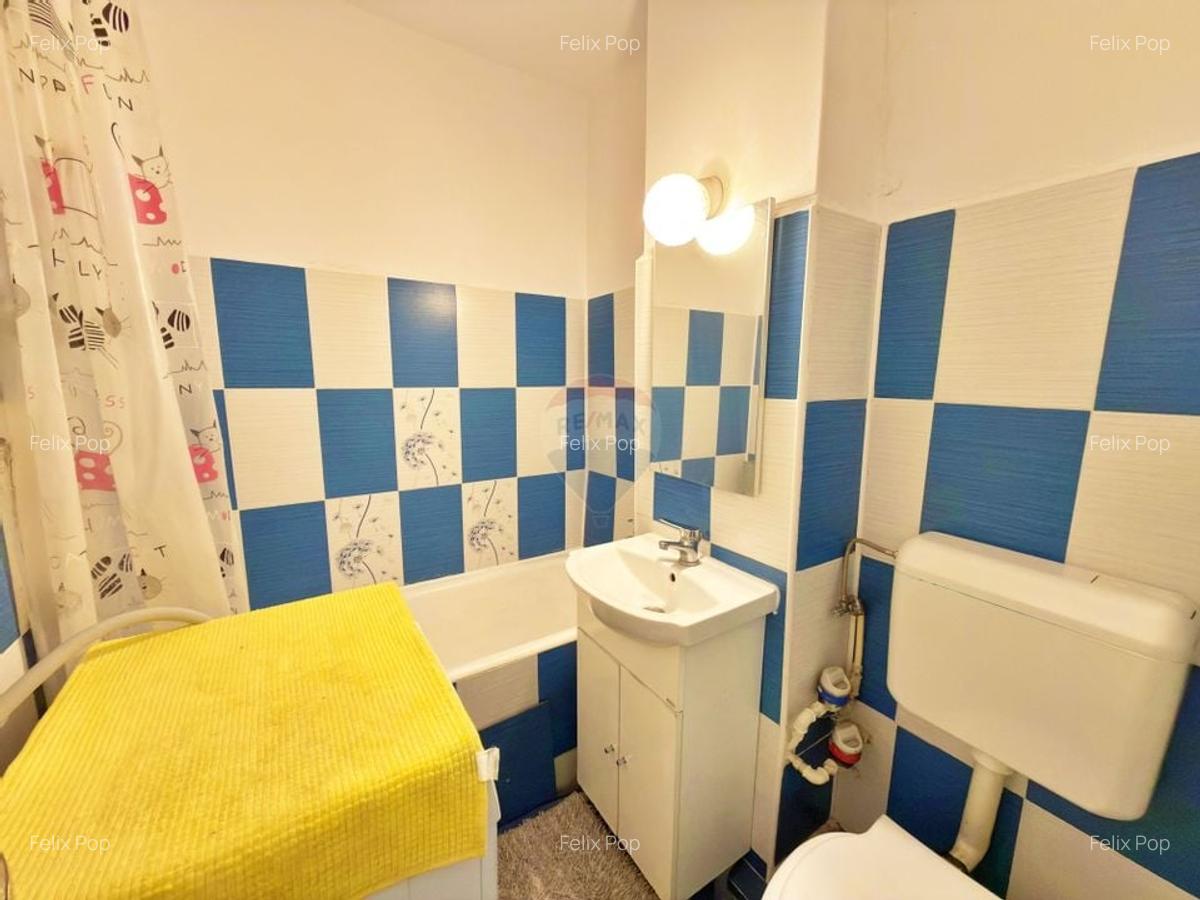 Garsoniera de vanzare (Micalaca, strada Simfoniei) - 5