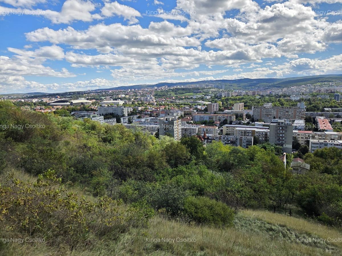 De vânzare – Apartament cu teren generos în cartierul Grigorescu, strada Donath - 15