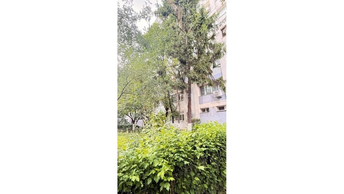 REA1024382 2 camere Pajura l renovat - 10