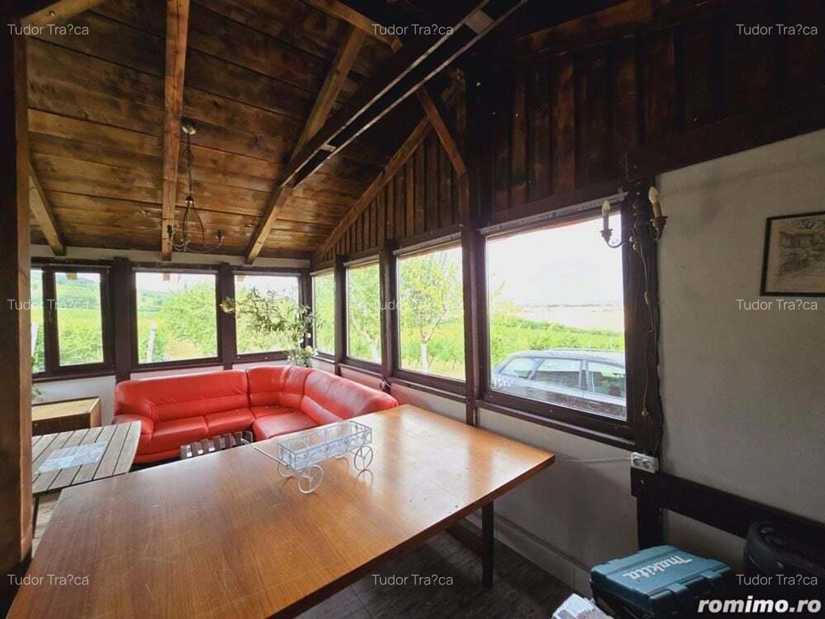 Vie Tradi?ionala Halta Lupilor - 8 Vie Tradi?ionala Halta Lupilor - 8