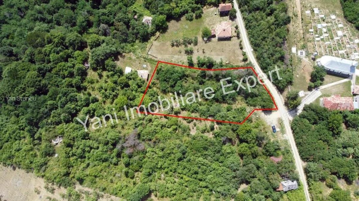 Teren de vanzare in comuna Baicule?ti, jude? Arge?. - 11