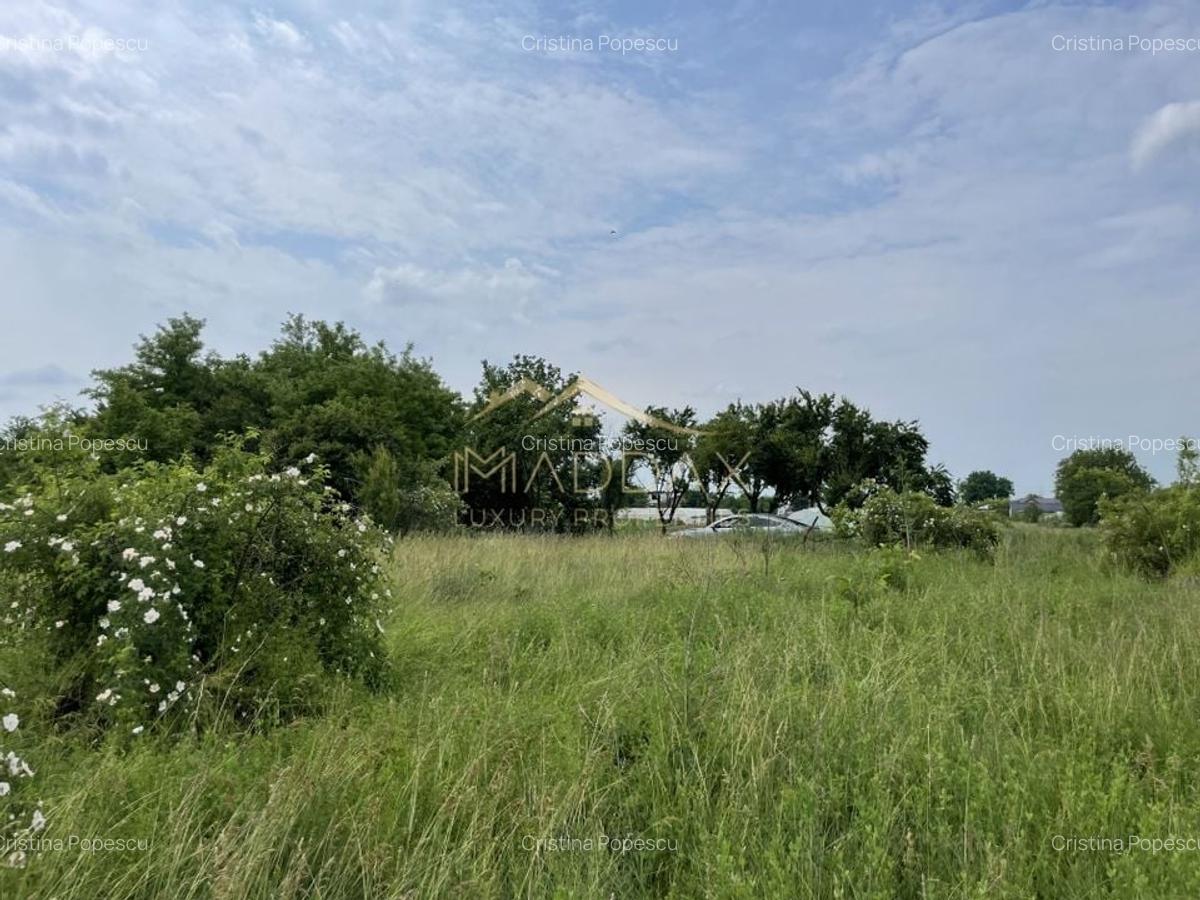 Teren intravilan***1439 mp***Cretesti-Vidra-Ilfov - 19