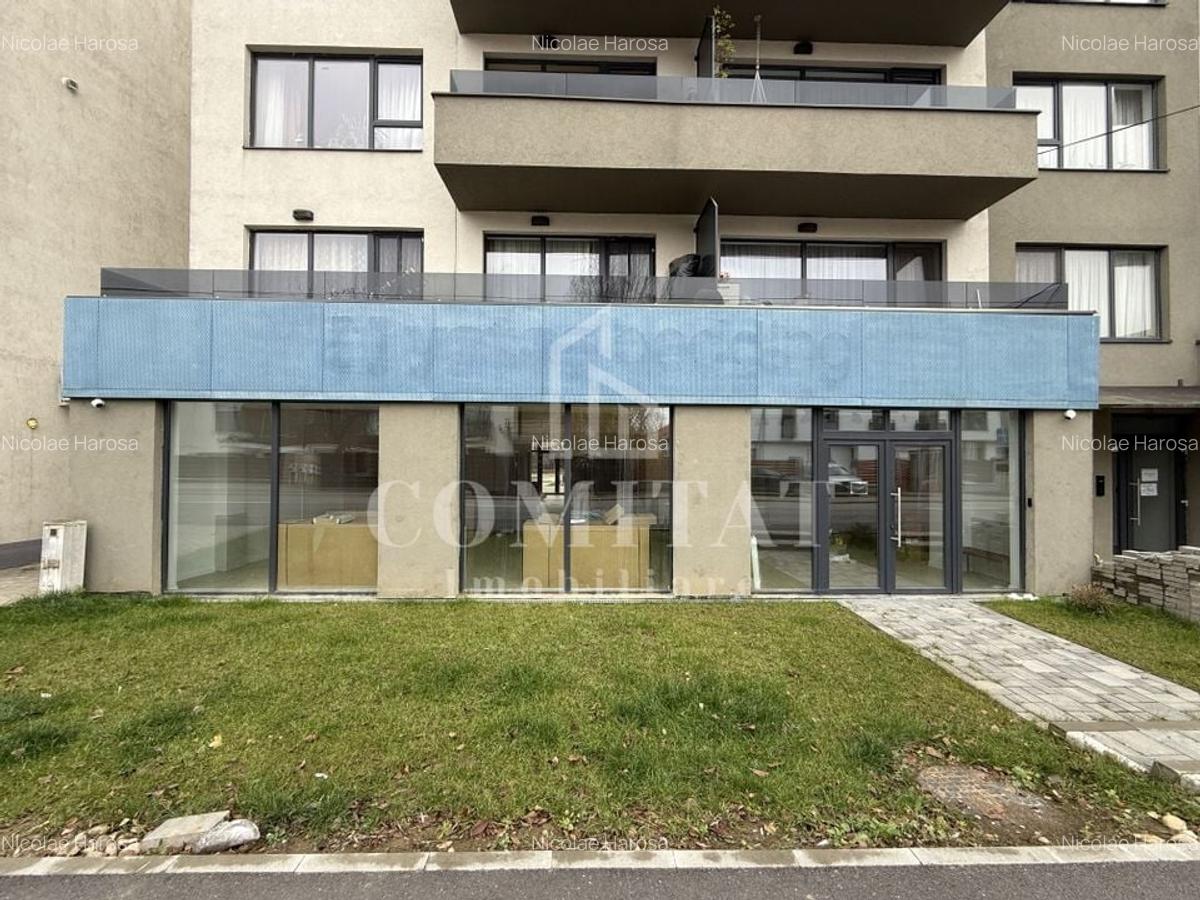Spațiu comercial ideal showroom str Borhanciului - 1