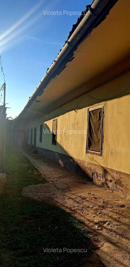 Casă cu 7 camere în Iosefin - 3