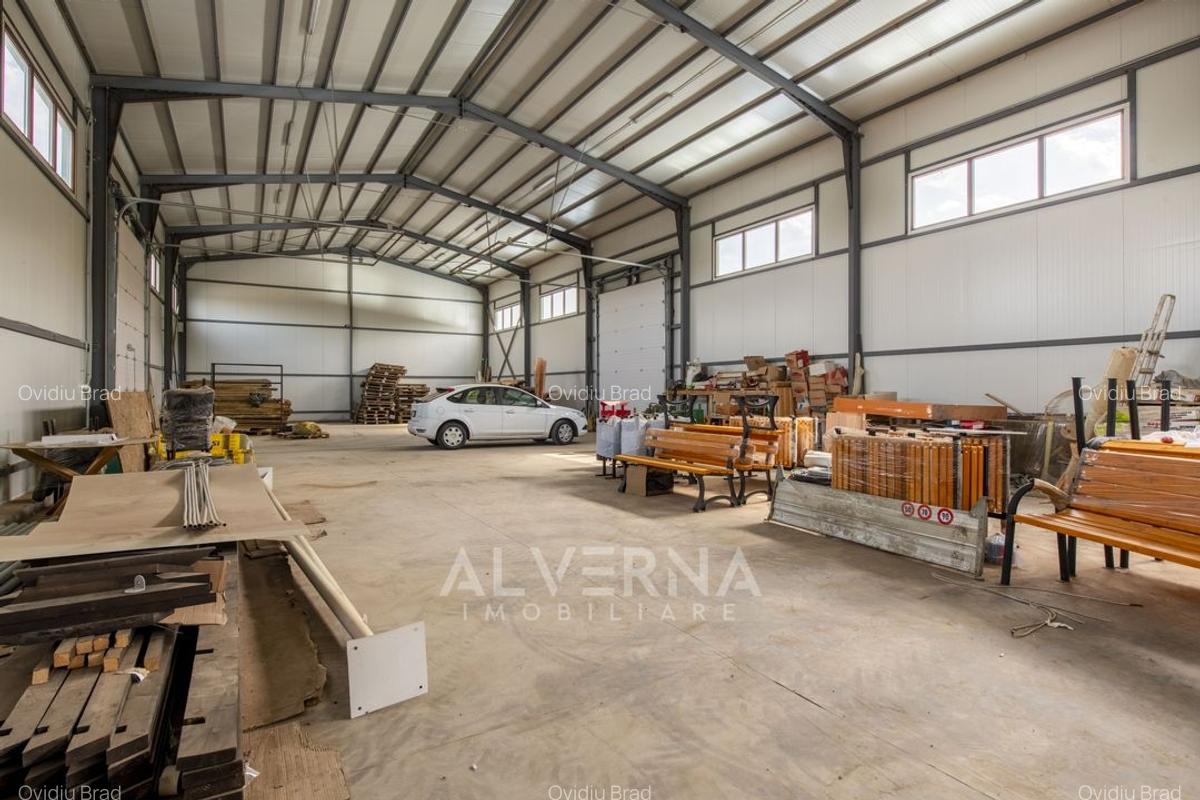 Hala industriala 465mp + anexa | teren 7162mp | front 95ml | Rascruci - 25