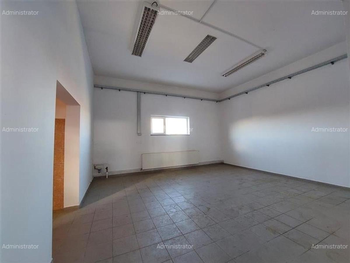 Hala de depozitare in Arad Sud - 4