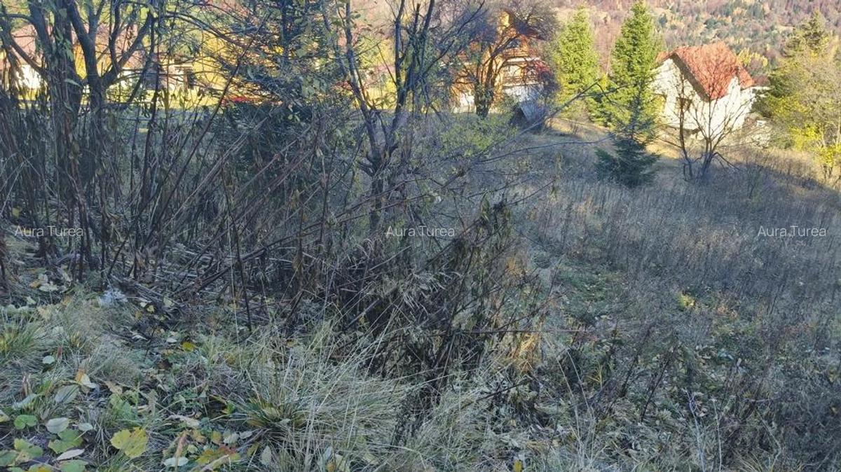 Teren intravilan -Predeal-Paraul Rece - 9