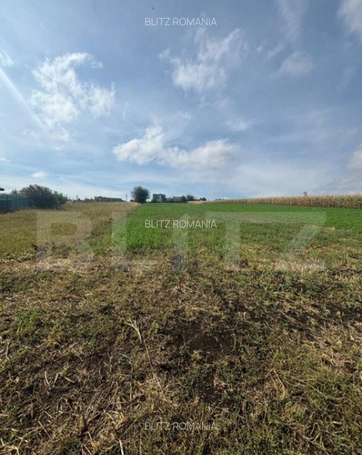 Oportunitate! Teren 25 ari, zona Moara Bulai - 1