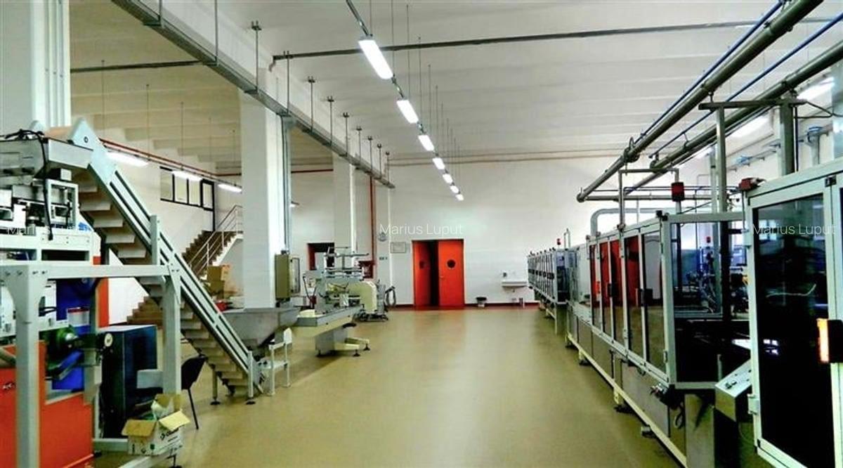 Hala industriala, 1600 mp cu teren 6500 mp , Timisoara Nord Vest - 5