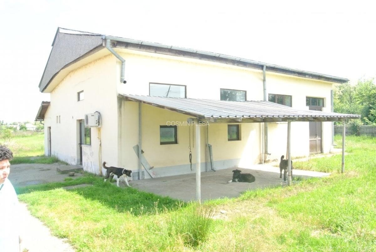 Casa 141mp, teren 6.000 mp, Cateasca - Gruiu - 8