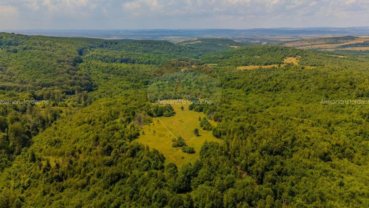Teren intravilan de 1551 mp, în Grid - 10