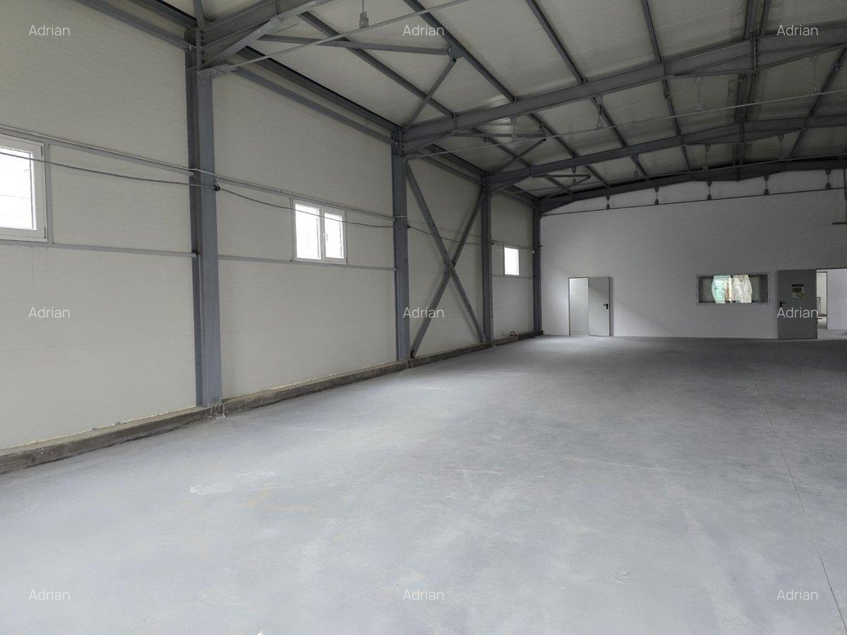 Pallady, hala depozitare si birouri in zona Pallady, 460 mp la 3200 euro - 12