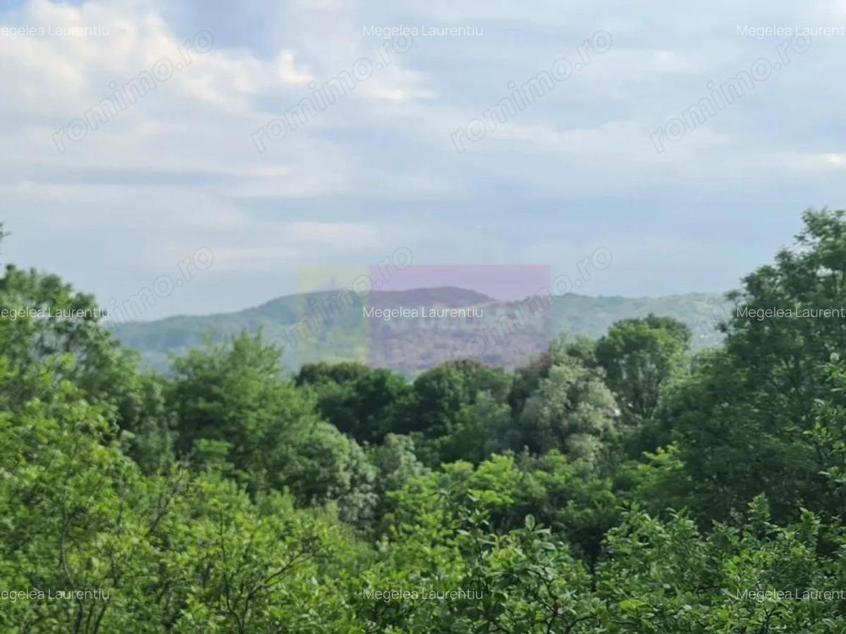 Vila de vanzare cu 6 camere in Cornu (teren 6.600 mp) - 3