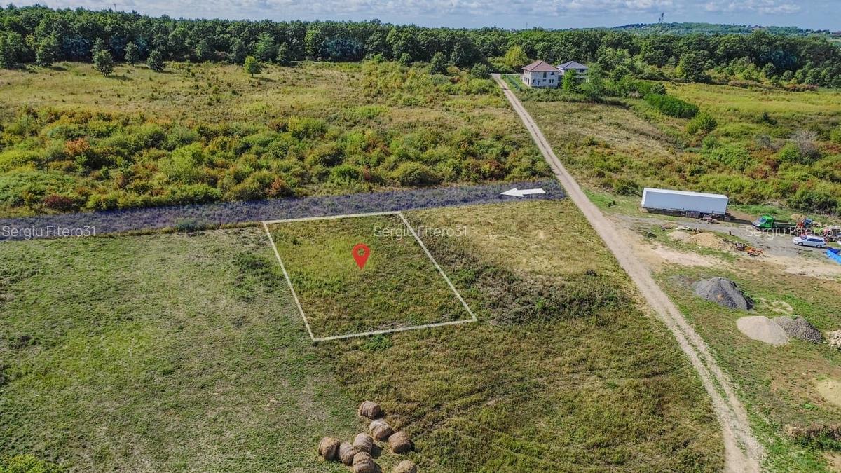 Teren intravilan de vanzare - 902 mp, Paleu, Bihor | PUZ aprobat - 6