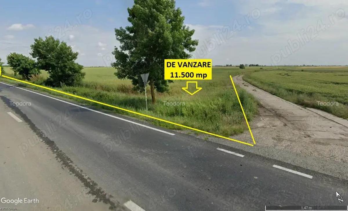 11.500 mp teren cu front de 100 m la soseaua Arad-Turnu - 5