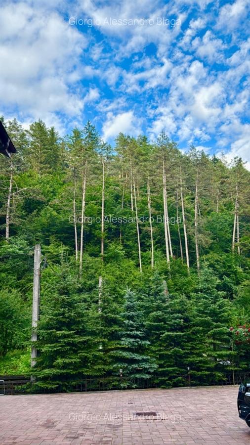 Casa de vacanta sau pensiune | Batca Doamnei | Teren in natura - 12