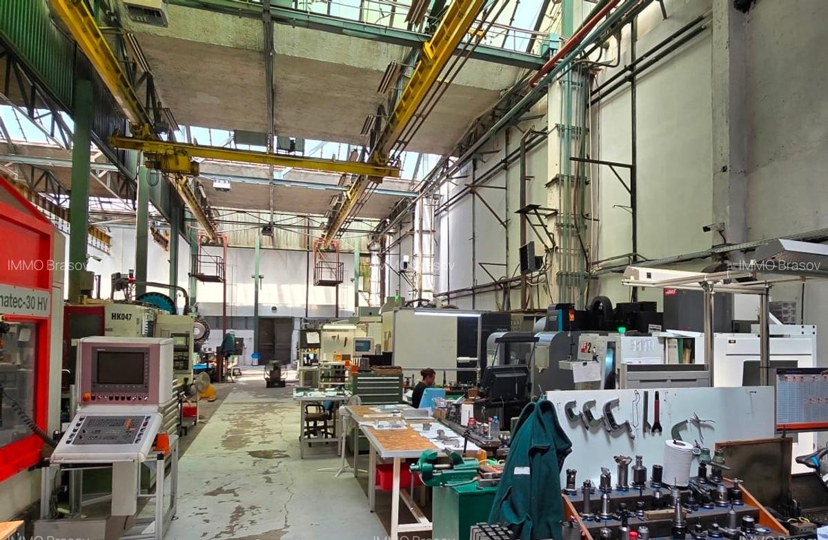 Hale de 270 - 370 mp in Parcul Industrial Roman pt. productie, depozitare - 7