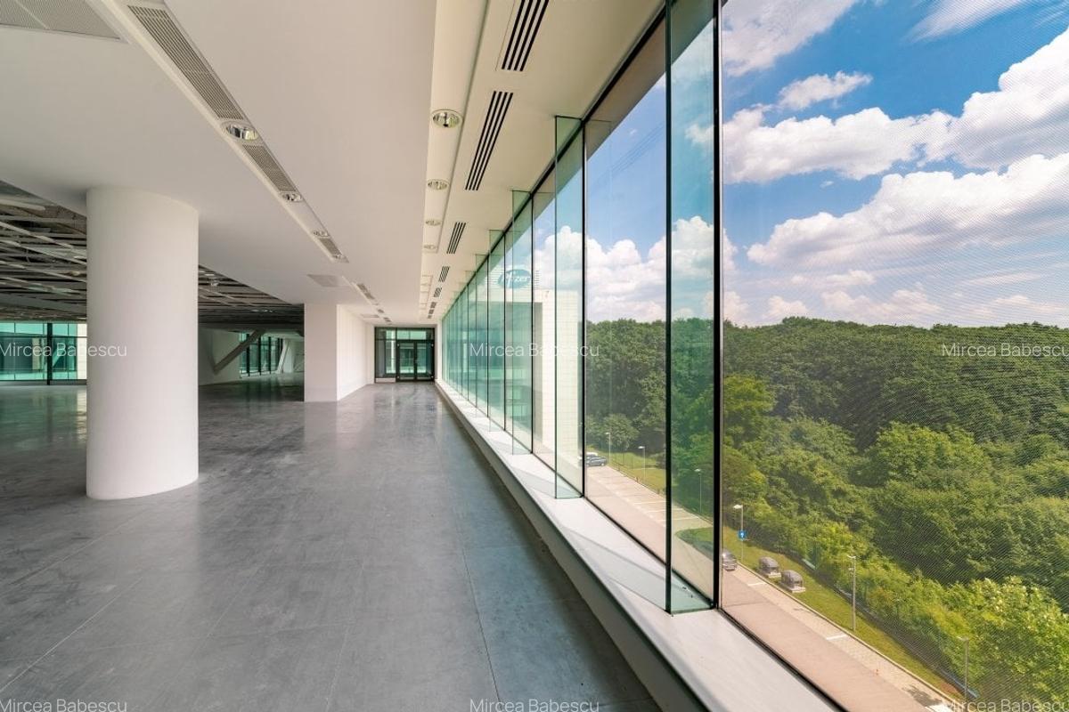 Inchiriere spatiu showroom in Platinum Business & Convention Center - Baneasa - 3