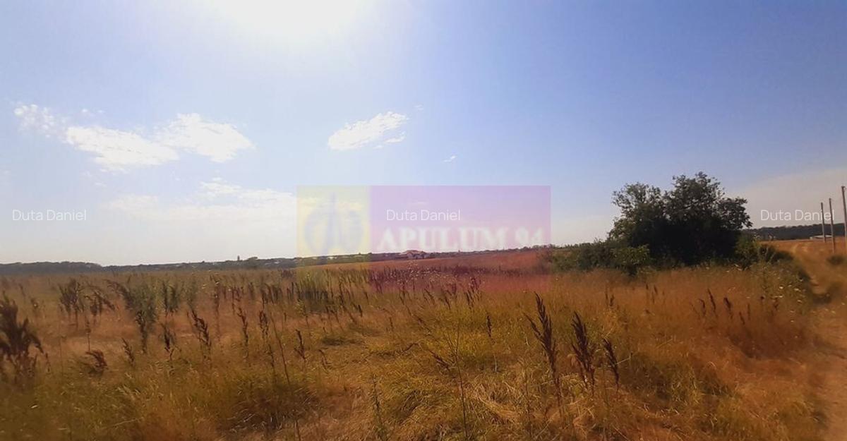 Teren pentru casa/case in Brane?ti pe strada Topora?i - 12