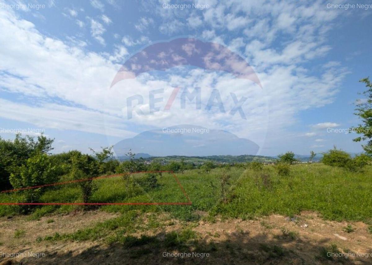 Teren intravilan de vanzare 2.444 mp - Targu Lapu? - 6