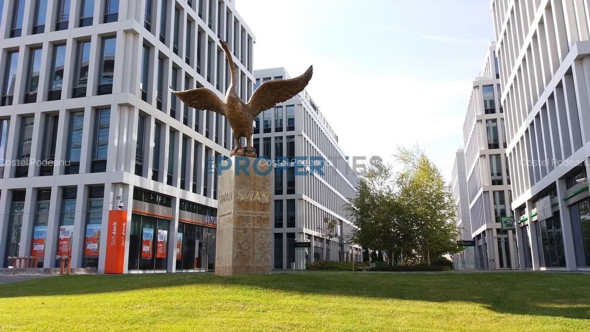 Comision 0! Spatii birouri/showroom in Swan Office Park - intre 181 si 3281mp - 1