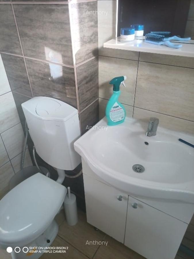 LOCAZIE UNICA, Primaverii, Bellar, Lacul Floreasca OPORTUNITATE UNICA !! - 13
