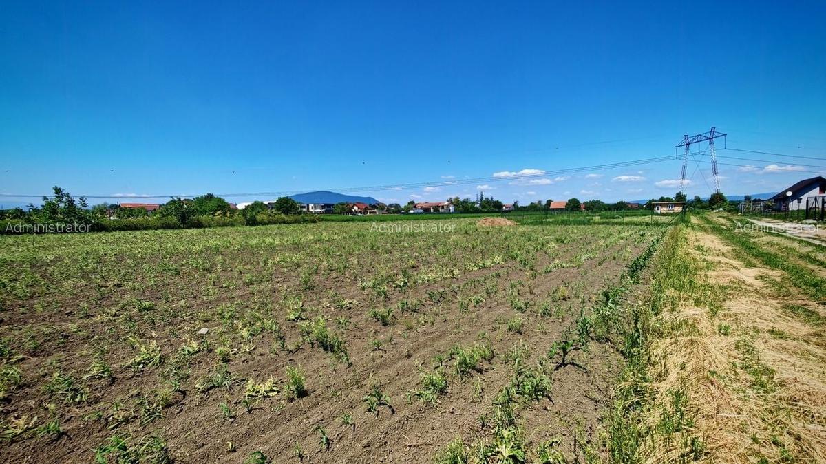 Teren Construcții intravilan de 856 mp, în Stupini - 1