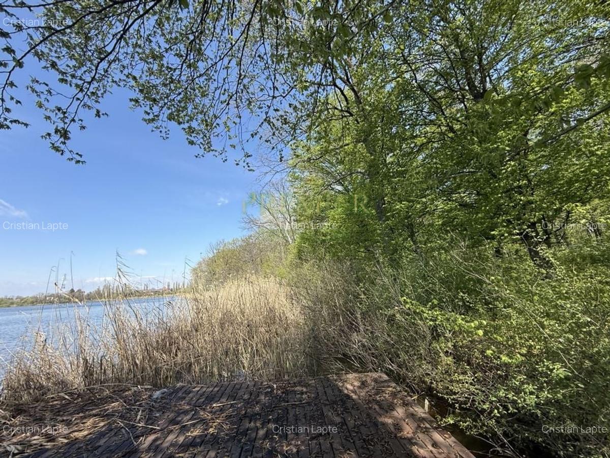 TEREN 7000 MP| DESCHIDERE 40 ML | INTRAVILAN-PADURE | POT 5% | TEREN UNIC | - 2