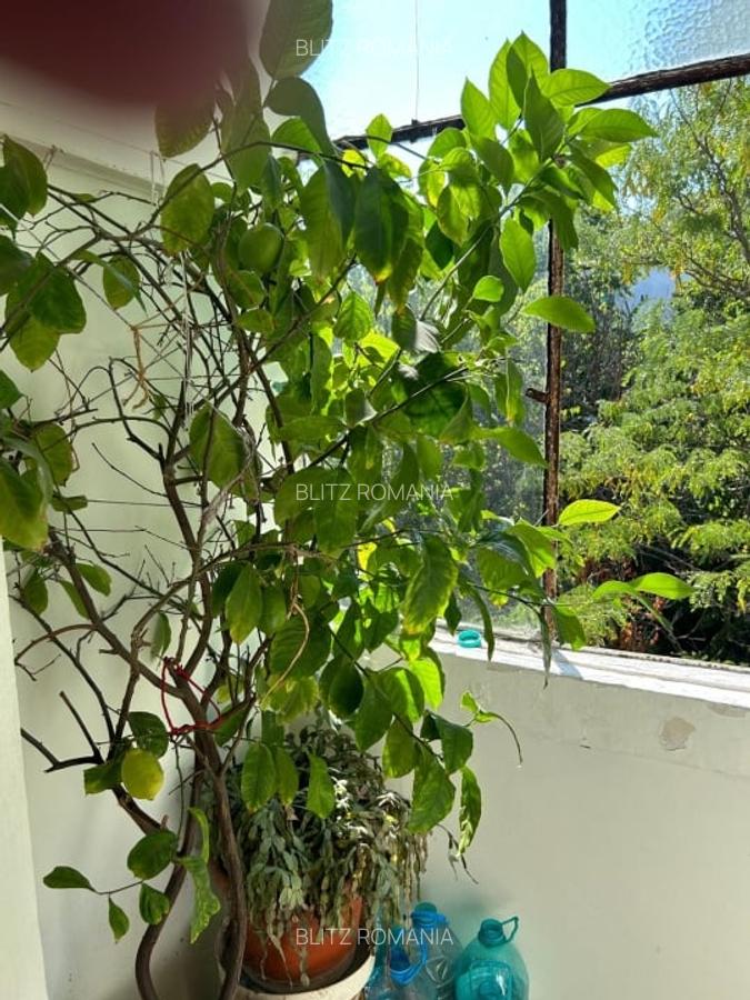 Apartament 3 camere, 67 mp, zona Simplon - 4