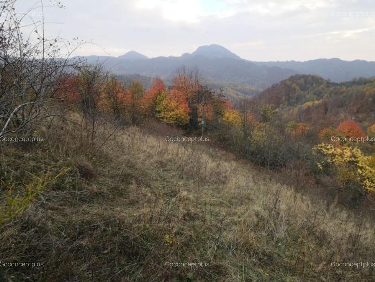 Vând casă la țară în comuna Bulzeștii de Sus, sat Tomnatec, Muntii Apuseni - 2