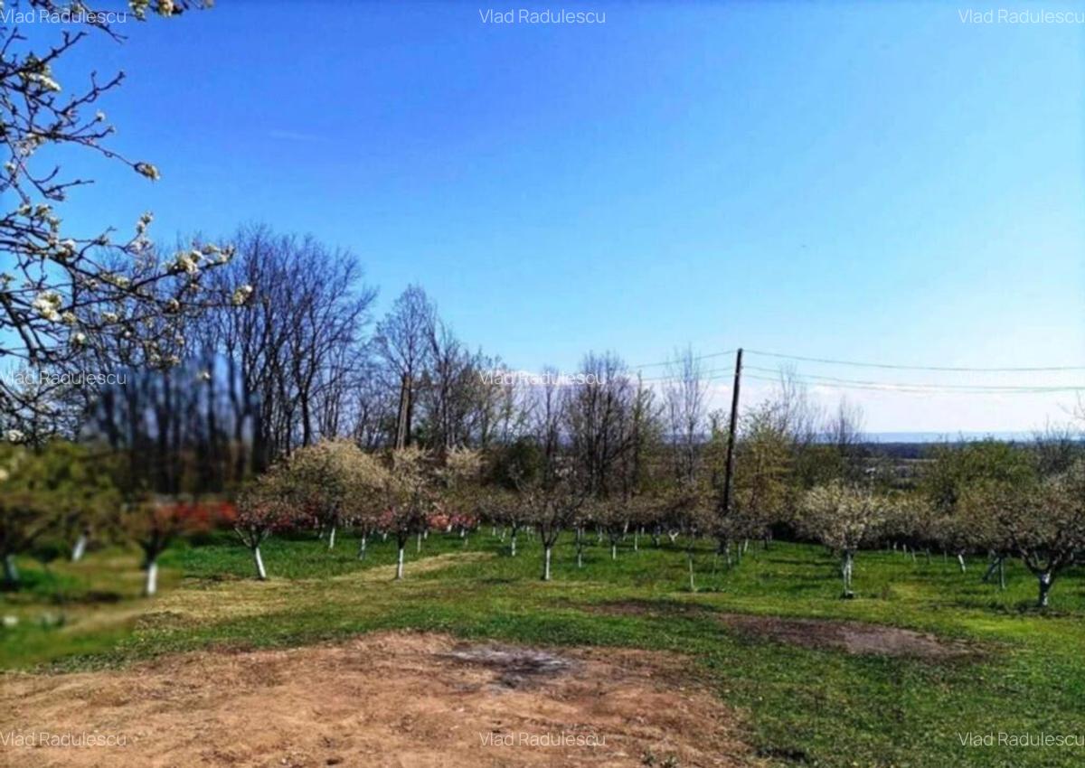 De vanzare Casa spa?ioasa cu livada, situata in C - 6
