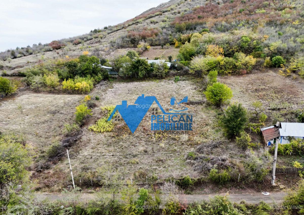 Teren intravilan NICULITEL, zona deosebita, 3044MP - 13