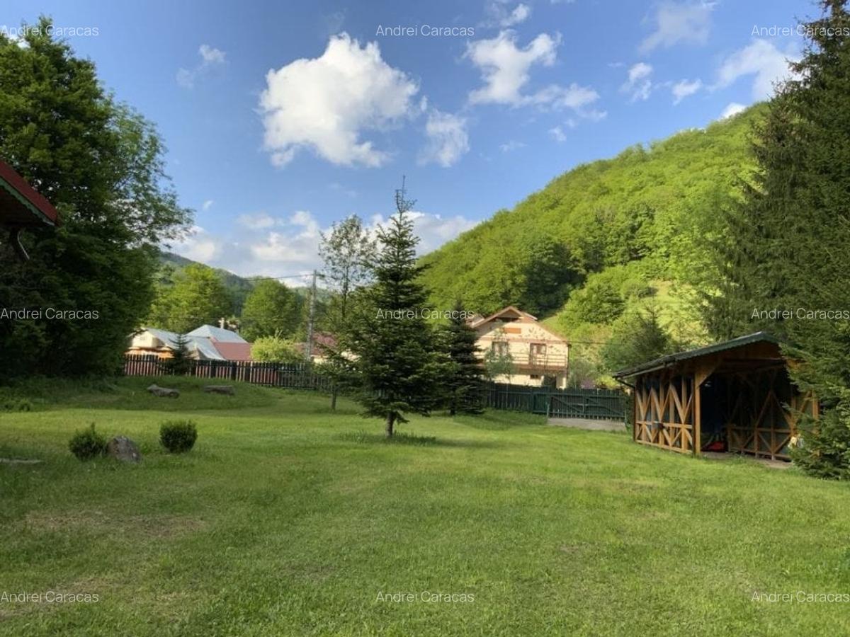 Casa cu Teren de 3000 metri patrati de vanzare - 13