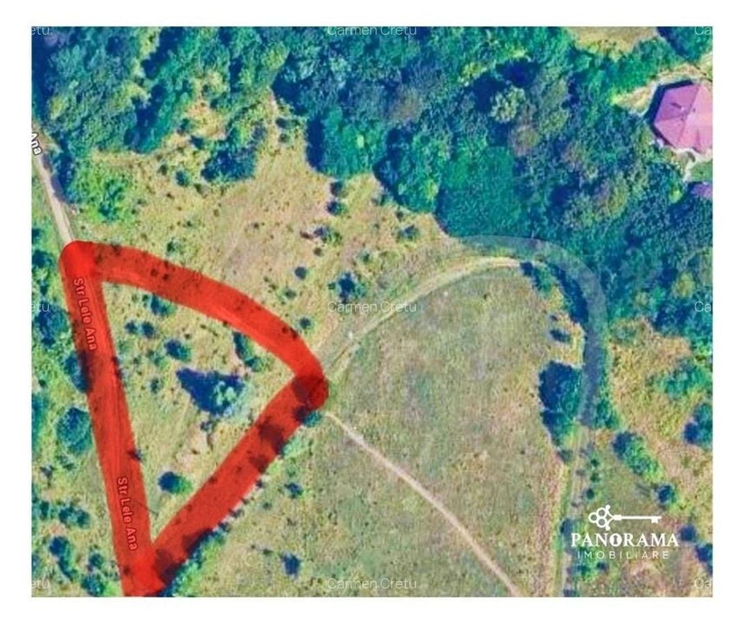 Teren intravilan cu vedere panoramică  4230mp - Mediaș - 3