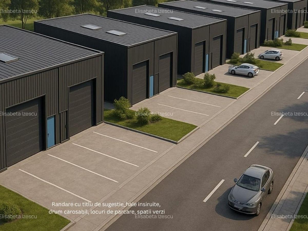 Teren Cernica investitie Hale Depozite - 1