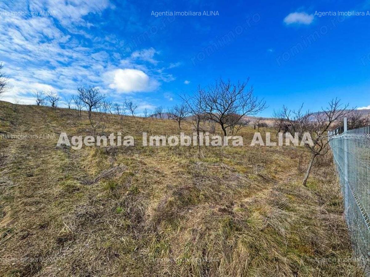 15 parcele de Teren intravilan in Deva, zona Calugareni, Strada Prunilor, Jud. Hd, cu PUZ, PUD, etc. - 15