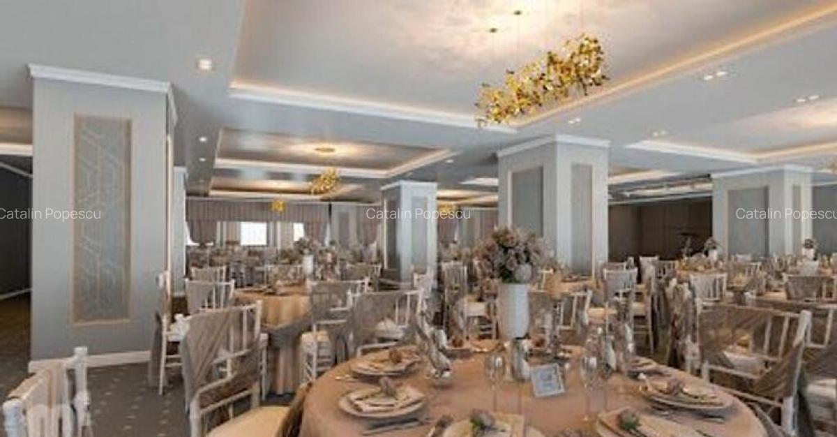 Spatiu comercial Victoriei 500mp etaj - 2