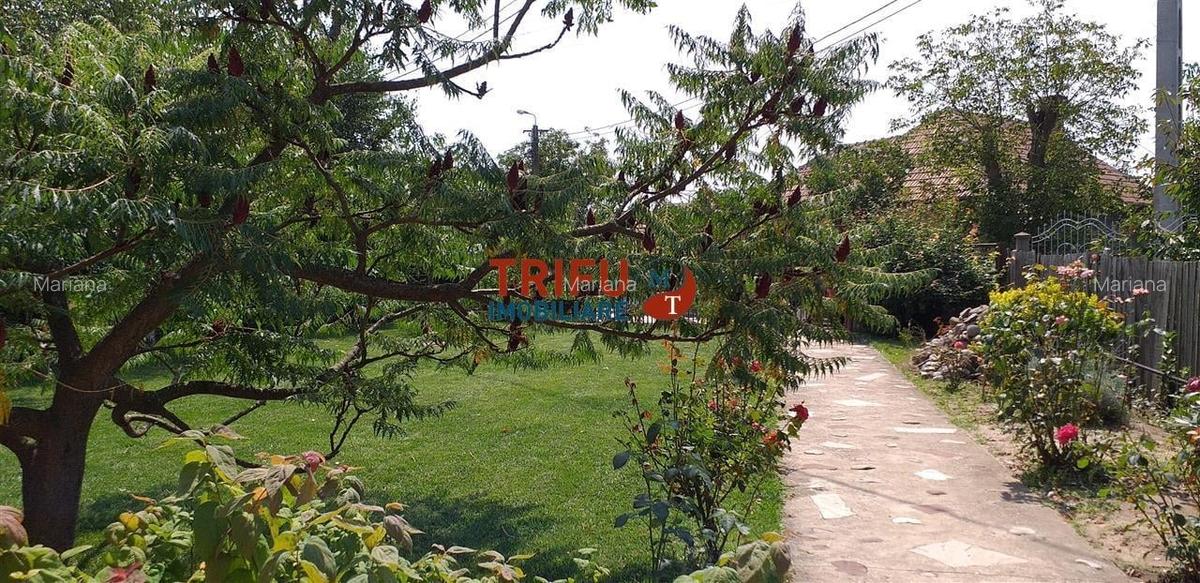 Casă cu 4 camere și 1400mp teren în Micești - 3