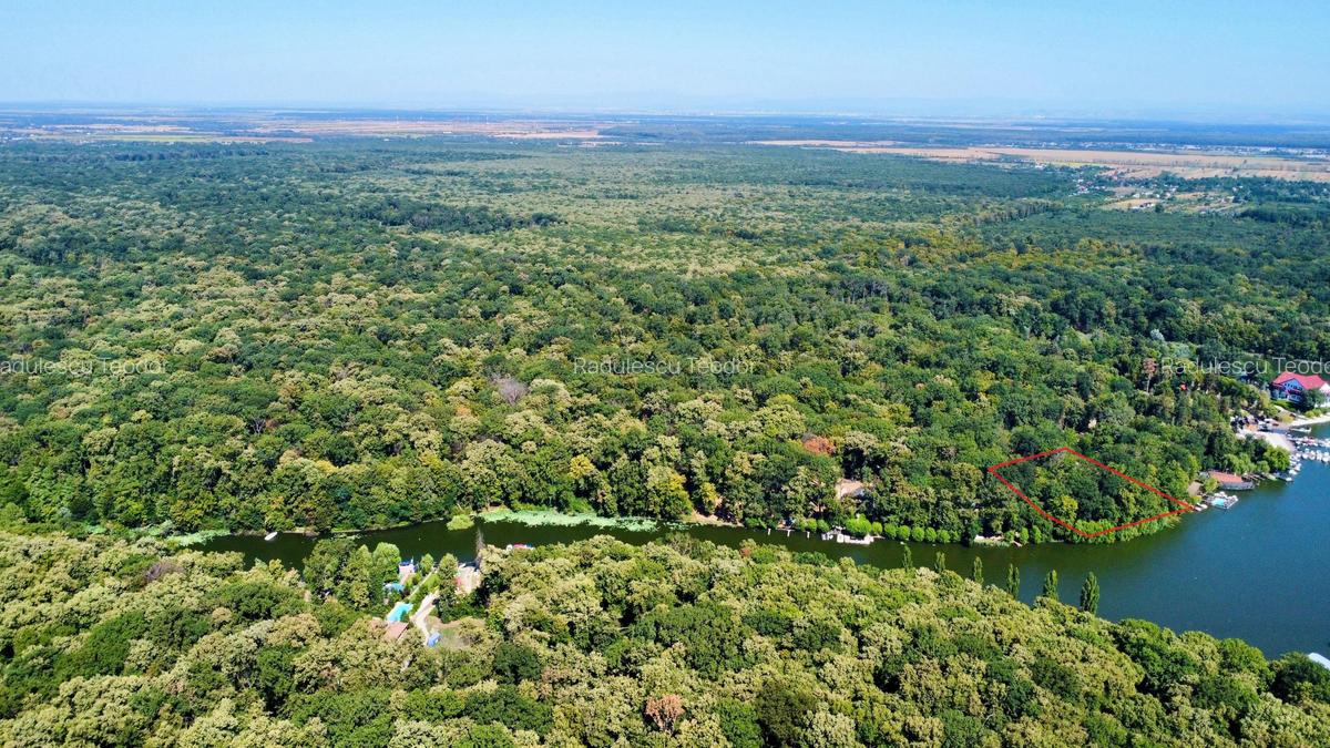 Teren 4800mp | Padurea Snagov | Deschidere larga la Lacul Snagov | Investitie - 3