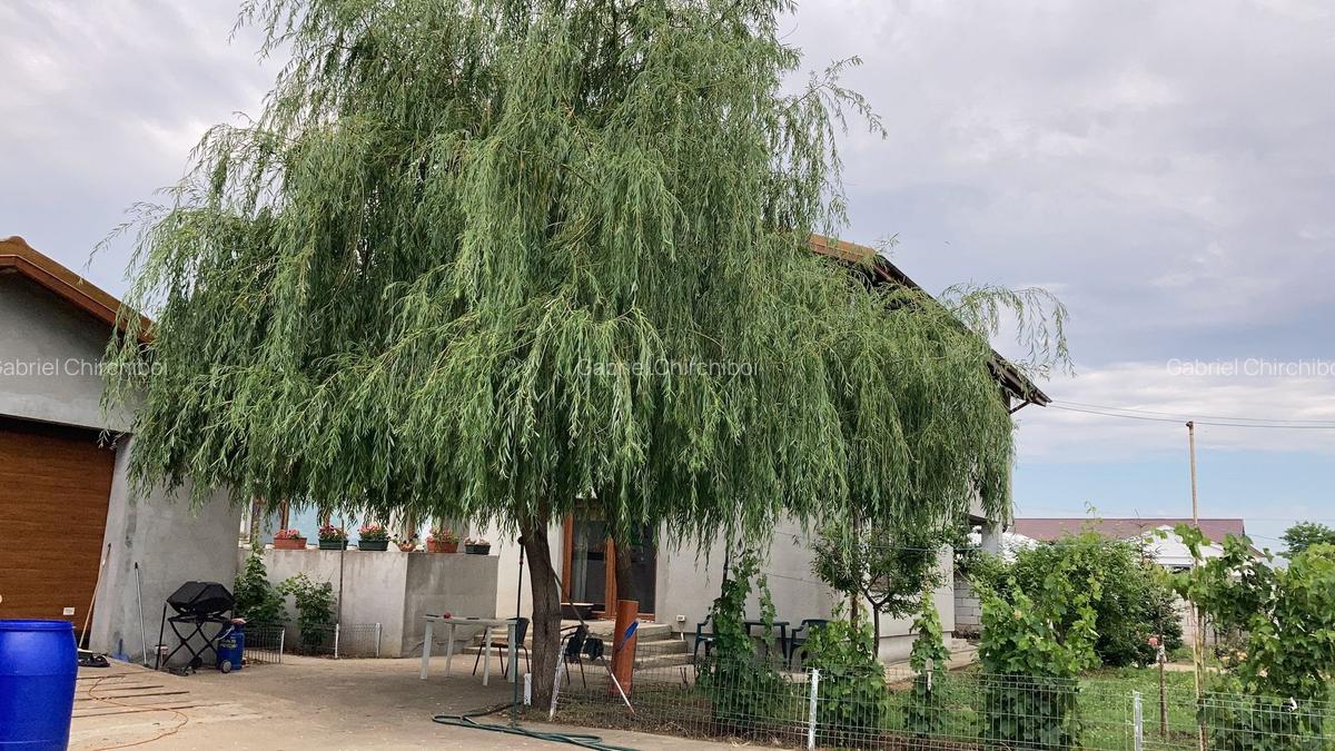 Vilă spectaculoasă – 249 mp utili, teren 881 mp, dotări premium, mobilata - 30