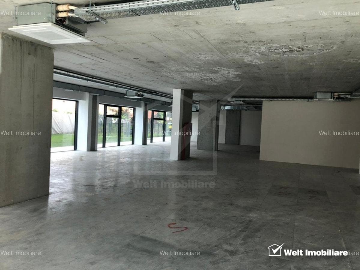 Spatiu comercial sau servicii, 223 mp, Marasti zona Farmec - 1