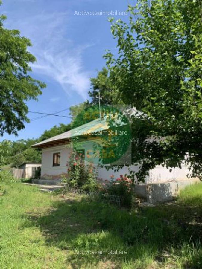 Casa de vanzare - 1