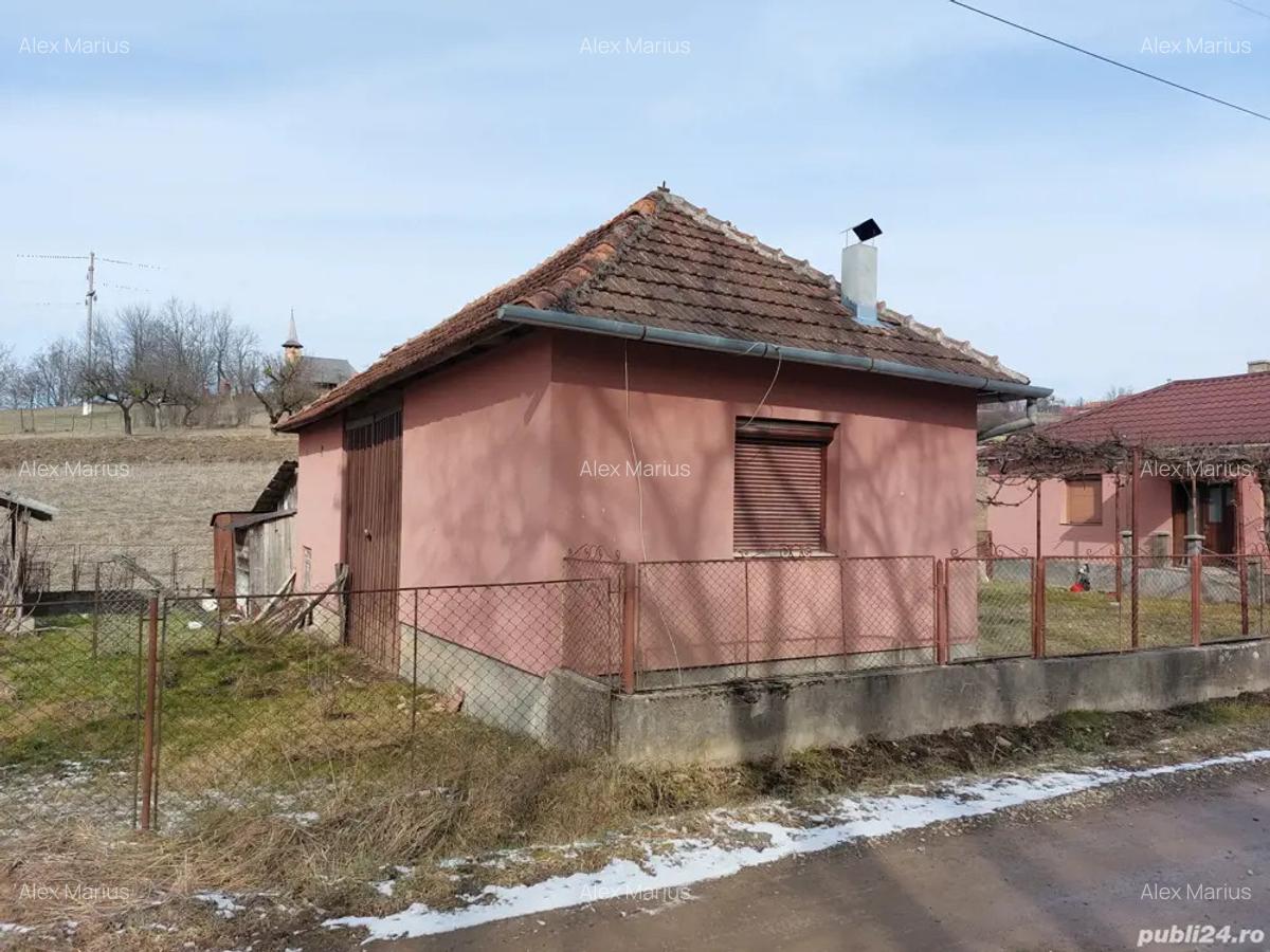Vand casa in Valea Crisului - 5